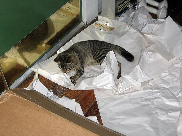 The cat stays, obvi. The gift wrap - to reuse, to recycle? We won't know. Tell us! (via Flickr/Anne G)