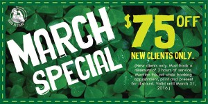 Maid to Clean March 2016 coupon - $75 off!