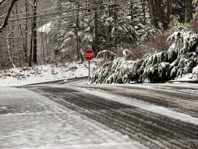 Wintry mix ...how we love the not. (via Flickr/Lisa Clarke)